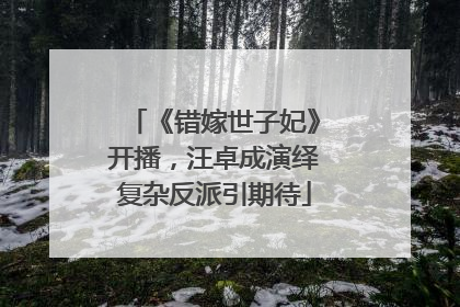 《错嫁世子妃》开播，汪卓成演绎复杂反派引期待