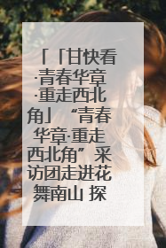「甘快看·青春华章·重走西北角」“青春华章·重走西北角”采访团走进花舞南山 探寻天水乡村振兴之路