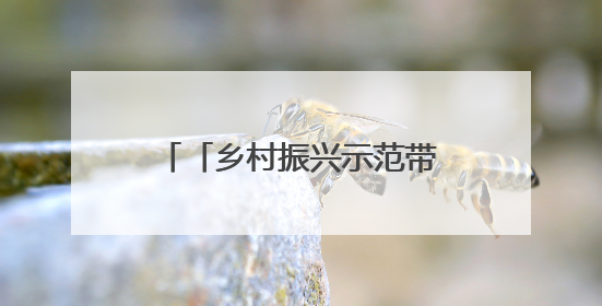 「乡村振兴示范带建设进行时」烟雨兰山：邂逅一场与本真的久别重逢！
