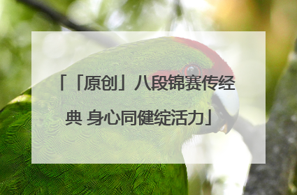 「原创」八段锦赛传经典 身心同健绽活力