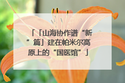 「山海协作谱“新”篇」建在帕米尔高原上的“国医馆”