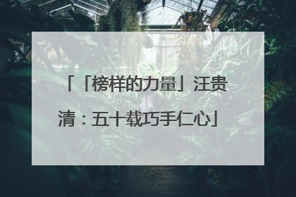 「榜样的力量」汪贵清：五十载巧手仁心