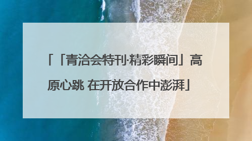 「青洽会特刊·精彩瞬间」高原心跳 在开放合作中澎湃