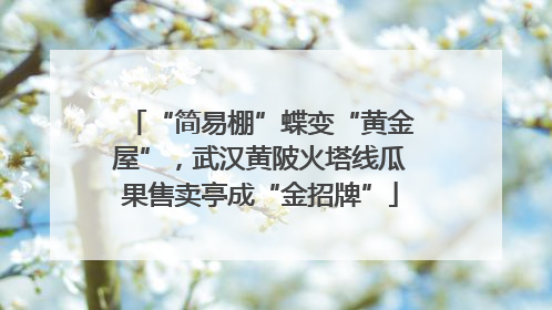 “简易棚”蝶变“黄金屋”，武汉黄陂火塔线瓜果售卖亭成“金招牌”