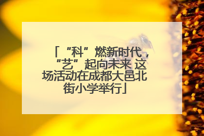 “科”燃新时代，“艺”起向未来 这场活动在成都大邑北街小学举行