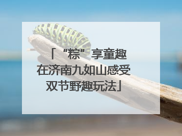 “粽”享童趣 在济南九如山感受双节野趣玩法