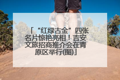 “红绿古金”四张名片惊艳亮相！吉安文旅招商推介会在青原区举行(图)