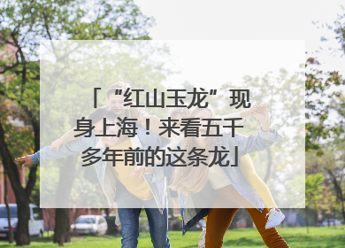 “红山玉龙”现身上海！来看五千多年前的这条龙