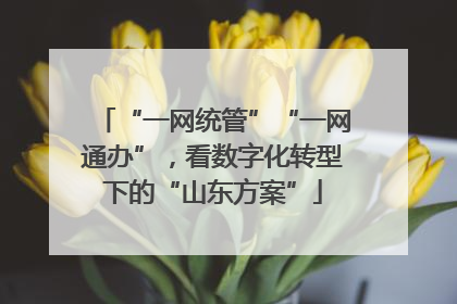 “一网统管”“一网通办”，看数字化转型下的“山东方案”