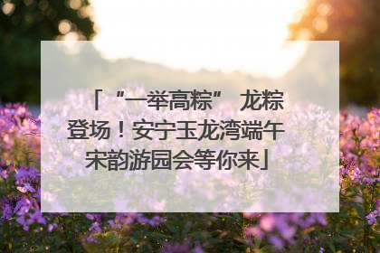 “一举高粽” 龙粽登场！安宁玉龙湾端午宋韵游园会等你来
