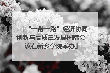 “一带一路”经济协同创新与高质量发展国际会议在新乡学院举办
