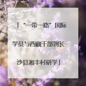 “一带一路”国际学员与西藏干部到长沙县湘丰村研学