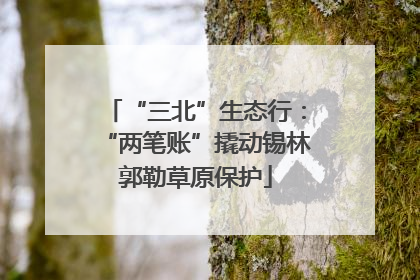 “三北”生态行：“两笔账”撬动锡林郭勒草原保护