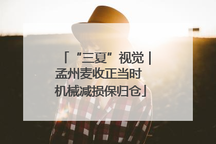 “三夏”视觉｜孟州麦收正当时 机械减损保归仓