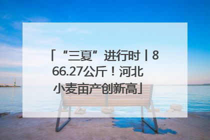 “三夏”进行时丨866.27公斤！河北小麦亩产创新高