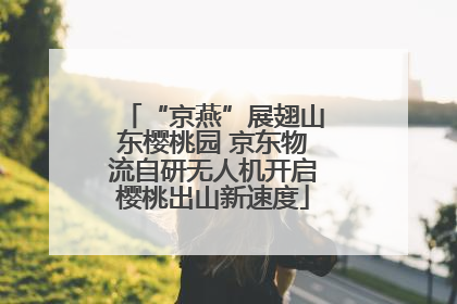 “京燕”展翅山东樱桃园 京东物流自研无人机开启樱桃出山新速度