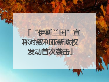 “伊斯兰国”宣称对叙利亚新政权发动首次袭击