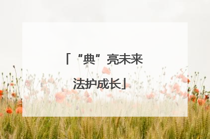“典”亮未来 法护成长