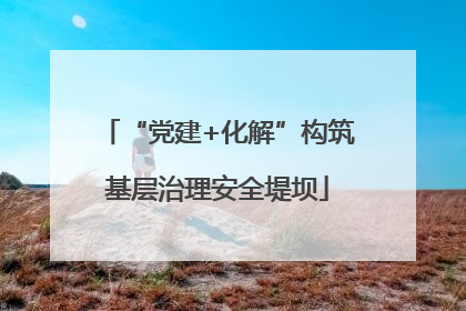 “党建+化解”构筑基层治理安全堤坝