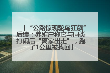 “公路惊现鸵鸟狂飙”后续：养殖户称它与同类打闹后“离家出走”，跑了1公里被找回