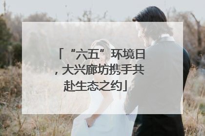 “六五”环境日，大兴廊坊携手共赴生态之约
