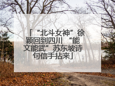 “北斗女神”徐颖回到四川 “能文能武”苏东坡诗句信手拈来