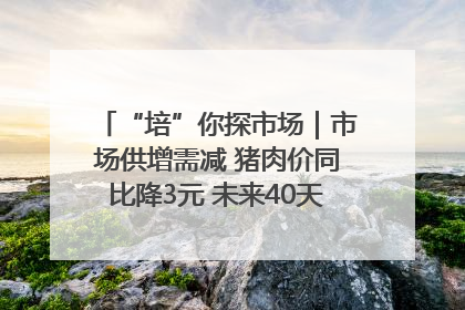 “培”你探市场｜市场供增需减 猪肉价同比降3元 未来40天便宜猪肉敞开吃