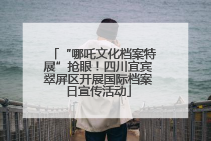 “哪吒文化档案特展”抢眼！四川宜宾翠屏区开展国际档案日宣传活动