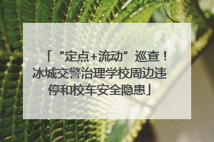 “定点+流动”巡查！冰城交警治理学校周边违停和校车安全隐患