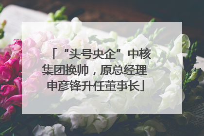 “头号央企”中核集团换帅，原总经理申彦锋升任董事长