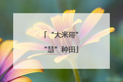 “大米哥”“慧”种田