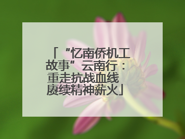 “忆南侨机工故事”云南行：重走抗战血线 赓续精神薪火