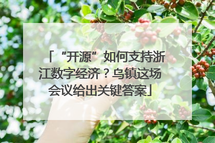 “开源”如何支持浙江数字经济？乌镇这场会议给出关键答案