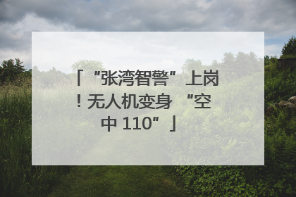 “张湾智警”上岗！无人机变身 “空中 110”