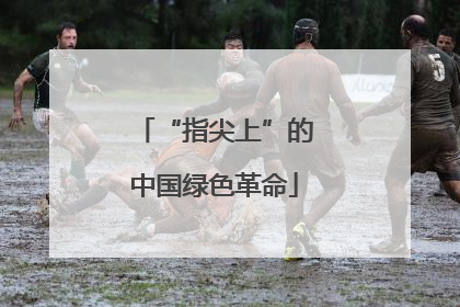 “指尖上”的中国绿色革命