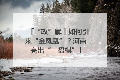 “政”解丨如何引来“金凤凰”？河南亮出“一盘棋”