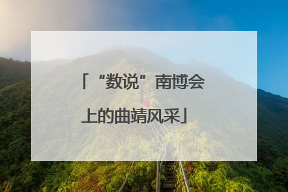 “数说”南博会上的曲靖风采