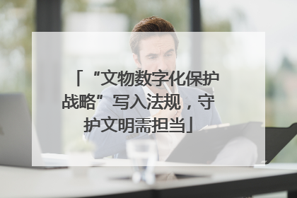 “文物数字化保护战略”写入法规，守护文明需担当