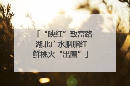 “映红”致富路 湖北广水胭脂红鲜桃火“出圈”