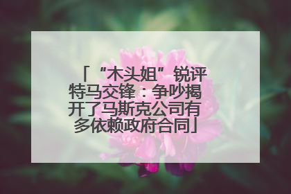 “木头姐”锐评特马交锋：争吵揭开了马斯克公司有多依赖政府合同