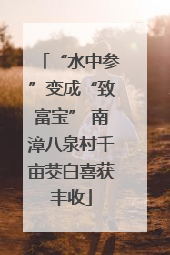 “水中参”变成“致富宝” 南漳八泉村千亩茭白喜获丰收