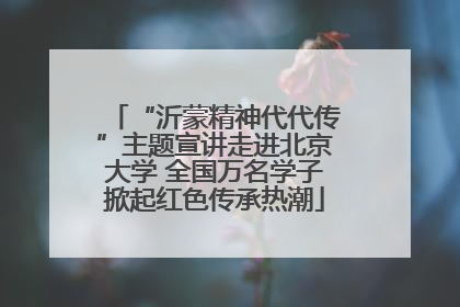 “沂蒙精神代代传”主题宣讲走进北京大学 全国万名学子掀起红色传承热潮