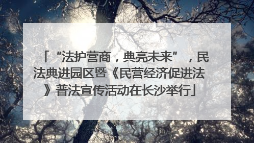 “法护营商，典亮未来”，民法典进园区暨《民营经济促进法》普法宣传活动在长沙举行