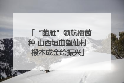 “菌雁”领航播菌种 山西垣曲望仙村椴木成金绘振兴