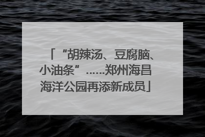 “胡辣汤、豆腐脑、小油条”……郑州海昌海洋公园再添新成员