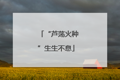 “芦荡火种”生生不息