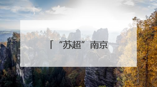 “苏超”南京队队徽是怎么来的？收藏家王世清细说源头