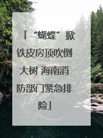 “蝴蝶”掀铁皮房顶吹倒大树 海南消防部门紧急排险