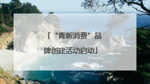 “青新消费”品牌创建活动启动