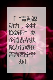 “青海源动力，乡村焕新程”央企消费帮扶聚力行动在青海西宁举办